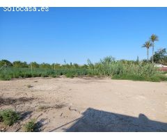 Parcela en Torreagüera - Camino Viejo de Orihuela