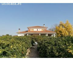 Se alquila magnifico chalet con 8000 m2 de parcela!