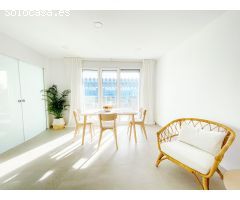 Piso de 3 habitaciones en paseo de Alameda