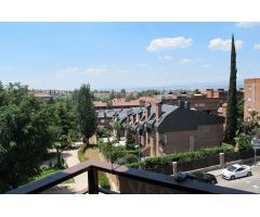 Piso en Alquiler en Las Rozas de Madrid, Madrid