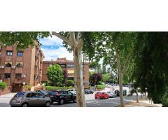 Piso en Alquiler en Las Rozas de Madrid, Madrid