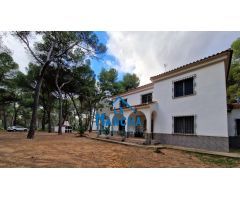 INMOBILIARIA LA MANCHA VENDE CHALET EN LOS PINARES DEL JUCAR