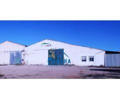 REF: Y094. INMOBILIARIA LA MANCHA VENDE ESPECTÁCULAR FINCA EN HOYA GONZALO.