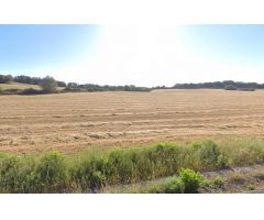 Terreno rural en Venta en Ariany, Islas Baleares
