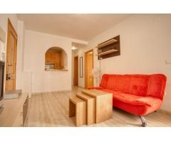 GRAN APARTAMENTO EN TORREVIEJA, 1 HAB, 1 BAÑO