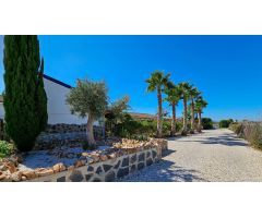 Finca rustica en Venta en Crevillente, Alicante