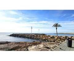 GRAN APARTAMENTO EN TORREVIEJA, 1 HAB, 1AÑO