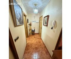 GRAN ÁICO EN TORREVIEJA, 2 HAB, 1 BAÑO