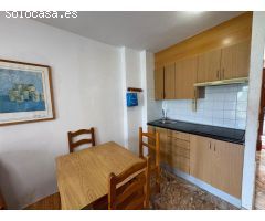 GRAN APARTAMENTO EN TORREVIEJA, 1 HAB, 1 BAÑO