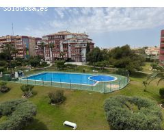 GRAN APARTAMENTO EN TORREVIEJA, 1 HAB, 1 BAÑO