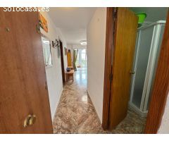 GRAN APARTAMENTO EN TORREVIEJA, 1 HAB, 1 BAÑO