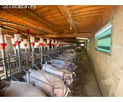 Granja en pleno funcionamiento cerca de Torreblanca