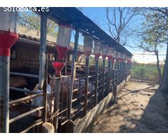 Granja en pleno funcionamiento cerca de Torreblanca