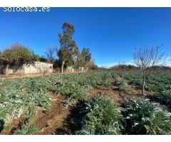 Granja en pleno funcionamiento cerca de Torreblanca
