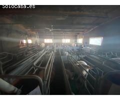 Granja en pleno funcionamiento cerca de Torreblanca