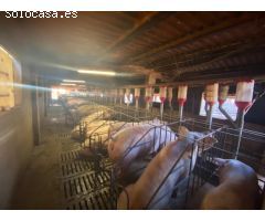 Granja en pleno funcionamiento cerca de Torreblanca