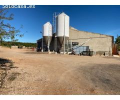 Granja en pleno funcionamiento cerca de Torreblanca