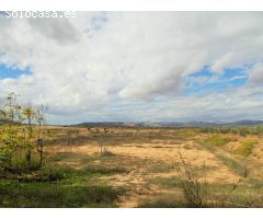 Casa de campo-Masía en Venta en Yecla Murcia 