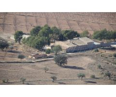 Casa de campo-Masía en Venta en Yecla Murcia 