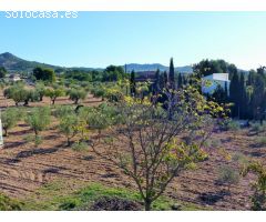 Casa-Chalet en Venta en Yecla Murcia 