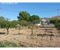 Casa-Chalet en Venta en Yecla Murcia 