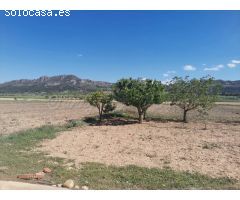 Casa de campo-Masía en Venta en Yecla Murcia 