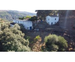 Suelo rústico en Venta en Farajan Málaga 
