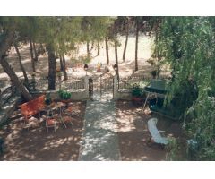 Finca rustica en Monovar