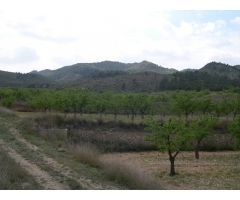 Finca rustica en Monovar