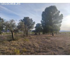 Parcela de terreno en Ubeda  Errada