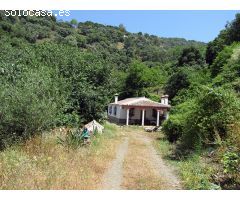 Casa de campo-Masía en Venta en Genalguacil Málaga 