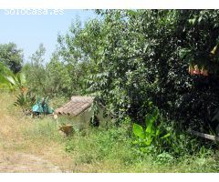 Casa de campo-Masía en Venta en Genalguacil Málaga 