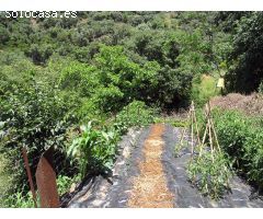 Casa de campo-Masía en Venta en Genalguacil Málaga 