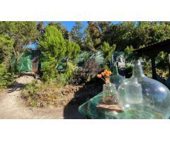 Casa de campo-Masía en Venta en Orotava, La Santa Cruz de Tenerife