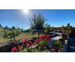 Casa de campo-Masía en Venta en Orotava, La Santa Cruz de Tenerife