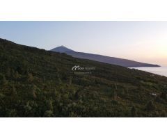 Casa de campo-Masía en Venta en Orotava, La Santa Cruz de Tenerife