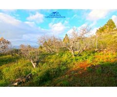 Casa-Chalet en Venta en Aguatavar Santa Cruz de Tenerife 