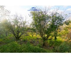 Casa-Chalet en Venta en Aguatavar Santa Cruz de Tenerife 