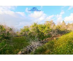 Casa-Chalet en Venta en Aguatavar Santa Cruz de Tenerife 