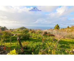 Casa-Chalet en Venta en Aguatavar Santa Cruz de Tenerife 