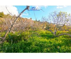 Casa-Chalet en Venta en Aguatavar Santa Cruz de Tenerife 