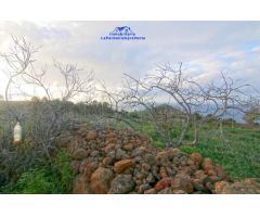 Casa-Chalet en Venta en Aguatavar Santa Cruz de Tenerife 