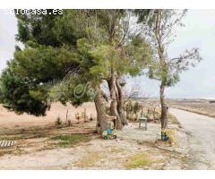 Casa de campo-Masía en Venta en Yecla Murcia 