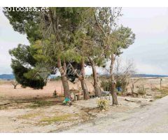 Casa de campo-Masía en Venta en Yecla Murcia 