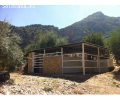 Casa de campo-Masía en Venta en Zahara De La Sierra Cádiz 