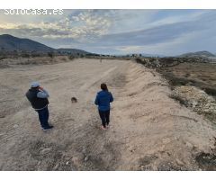 BUEN TERRENO URBANIZABLE CERCA DEL SANTUARIO