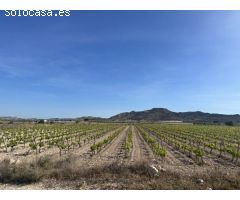 Parcela de terreno