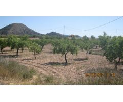 Casa en Venta en Monovar - Monover, Alicante