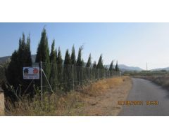 Parcela en Venta en Monovar - Monover, Alicante