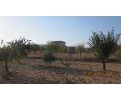 Parcela en Venta en Monovar - Monover, Alicante